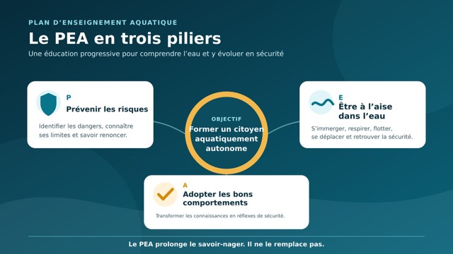 Le plan d'enseignement aquatique en trois piliers : prévenir les risques, être à l'aise dans l'eau, adopter les bons comportements